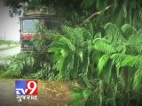 Phailin tempest hits Odisha at 200 kmp ,Power, communication lines affected - Tv9 Gujarat