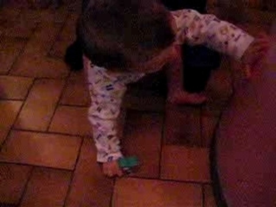 NoAh_vadrouille