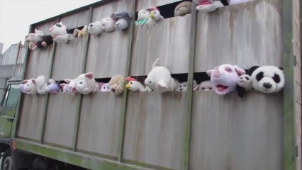 Siren Of The Lambs Meat Truck With Stuffed Animals Art Exhibit By Banksy