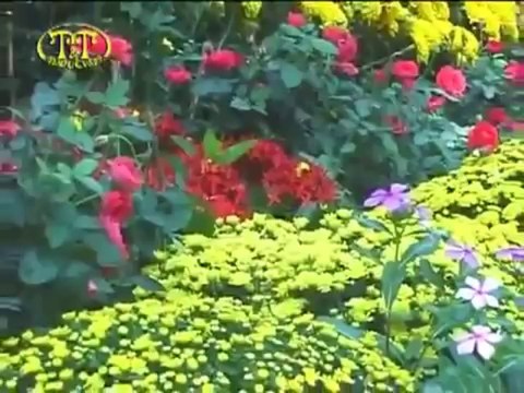 La Sương Sương - Thì Thầm Mùa Xuân (Sắc Xuân Saigon)