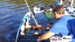 Miniature DailyMotion