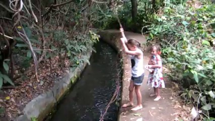 2013.10.13 Ravine St Gilles (6)