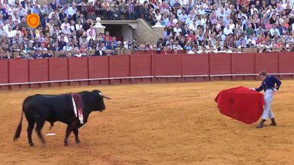 Resumen de la corrido del 12 de octubre en la Maestranza de Sevilla