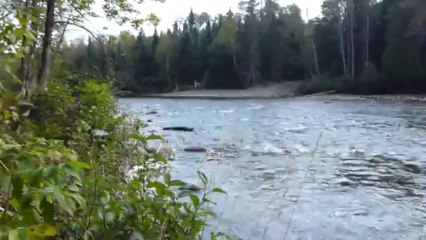 Rivière à saumons de Gaspésie