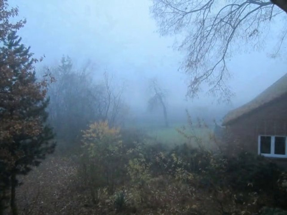 Das Haus der weisen Frauen