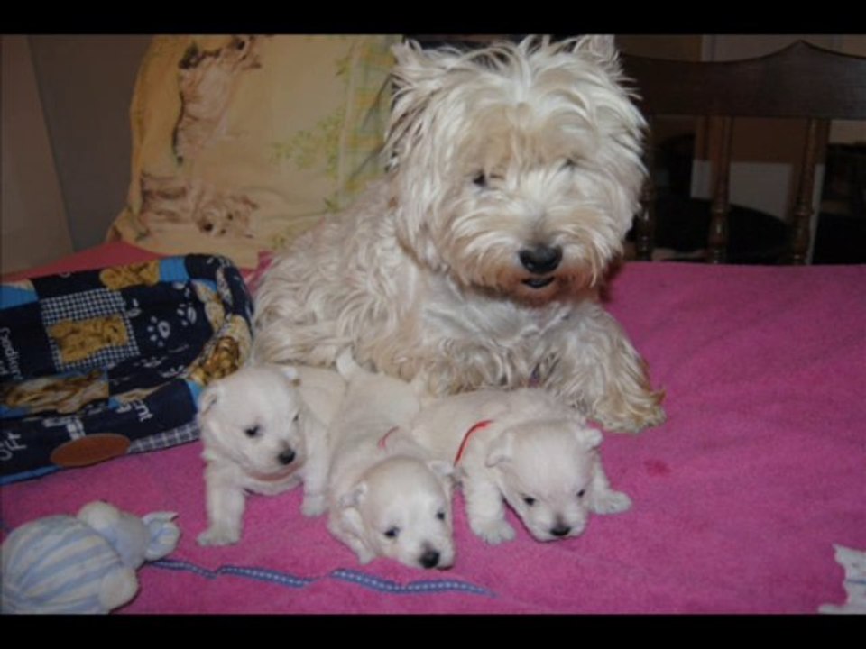 Bébés Epice -I- Août 2013