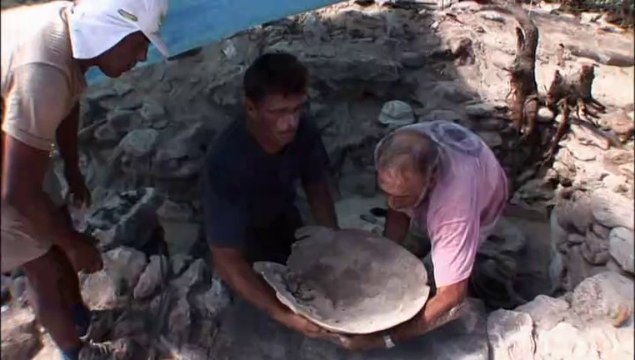 LES ESCLAVES OUBLIES DE L’ÎLE TROMELIN - extrait