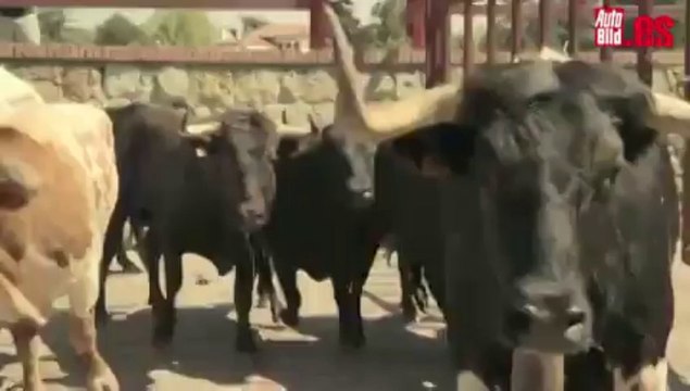 Encierro de un camión Volvo en Ciudad Rodrigo