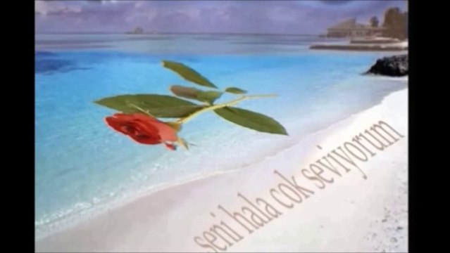 Dj Engin Akkaya - Artık Dönmesen de Olur (ft. Maral)