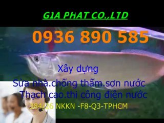 Thợ sơn nước giá rẻ ở tại quận 9 HCM.,// 0936 890 585