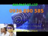 Thợ sơn nước giá rẻ ở tại quận 11 HCM.,/ 0936 890 585