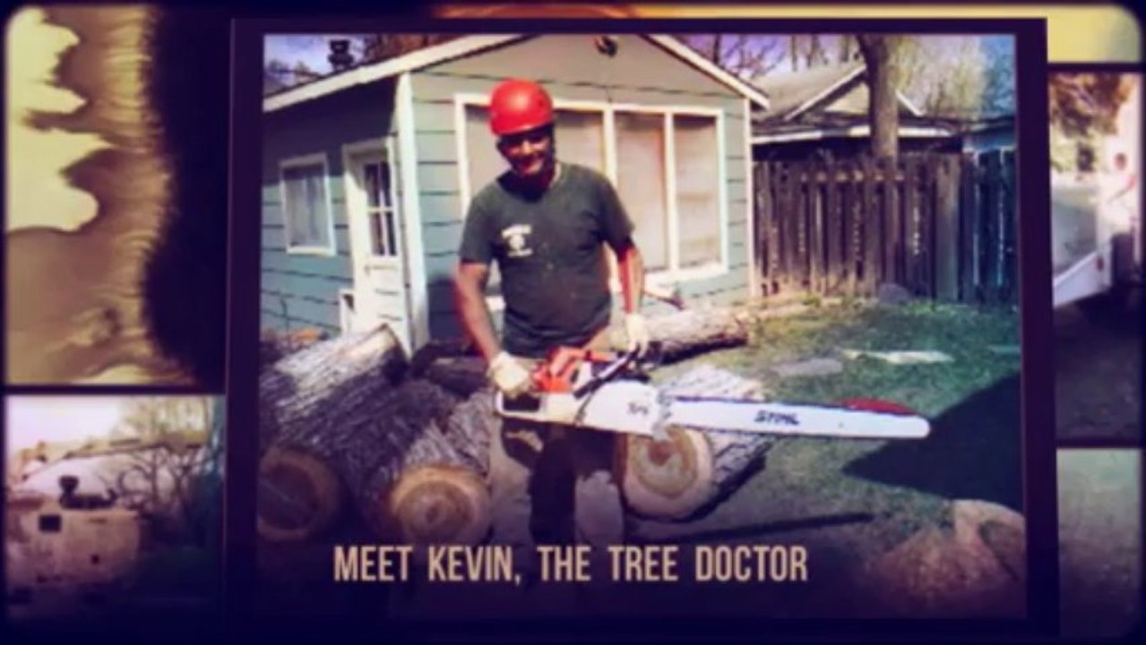 Foothills Tree Experts | (970) 482-9488