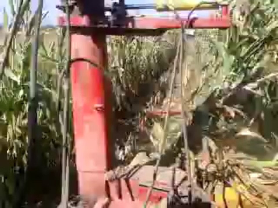 tek sıra biciyor