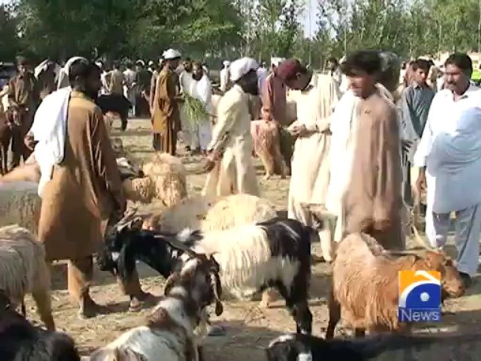 Bakra Mandi DIK-14 Oct 2013