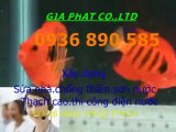 Thợ sơn nước giá rẻ ở tại quận 11 HCM.,// 0936 890 585