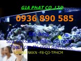 Thợ sơn nước giá rẻ ở tại quận 12 HCM.,/// 0936 890 585
