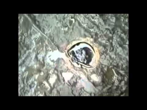 Aversa (CE) - Reciso paletto salvavita in Via Seggio