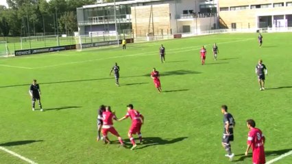 La Quotidienne du Téf - lundi 14 octobre