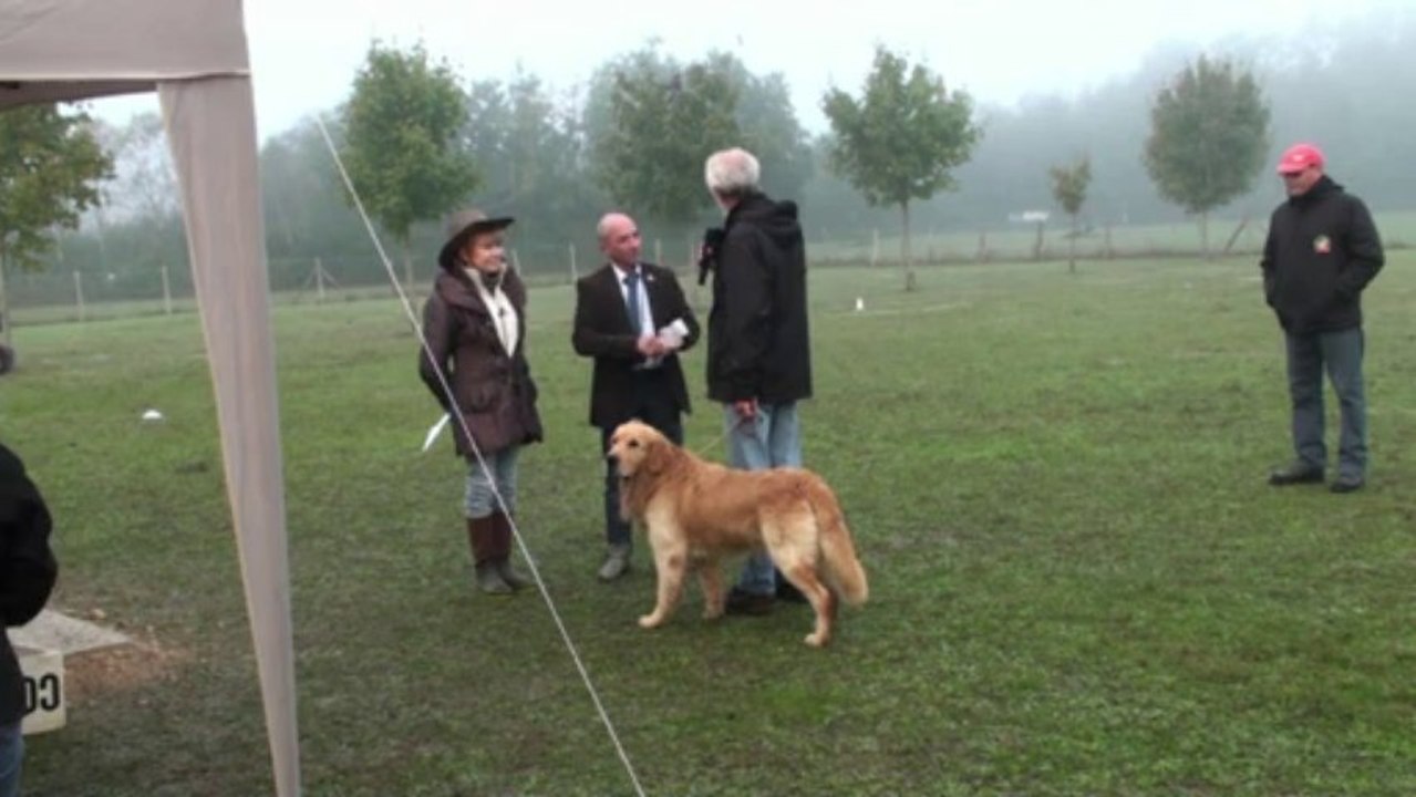 Concours d'obéissance AUC Saint-Cyr Eclair classe 1