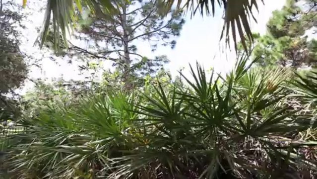 Homes for sale, Palm Beach Gardens, Florida 33410 Sam Elias