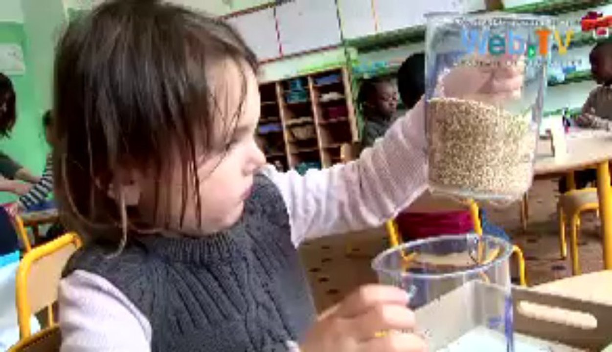 Des ateliers individuels de manipulation en petite section