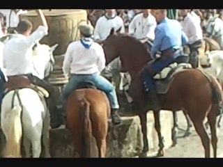 Guadalupe 2013 Asociación Cultural Ecuestre "Virgen de la Soledad" Torreorgaz