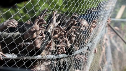 The Walking Dead Season 4 Episode 1 - 30 Days Without an Accident  Full Episode