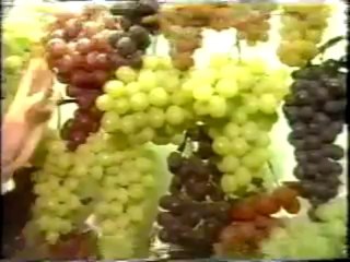 Lasier Martins tomando choque