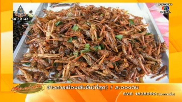 เรื่องเล่าเช้านี้ วันที่ 14 ตุลาคม 2556 [ฉบับเต็ม]