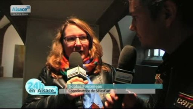 Sélest'art : 20ème biennale d'art contemporain