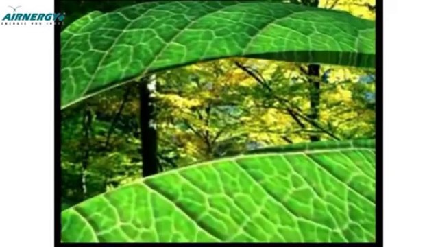 Schlafstörungen Burnout Airnergy Bluthochdrock