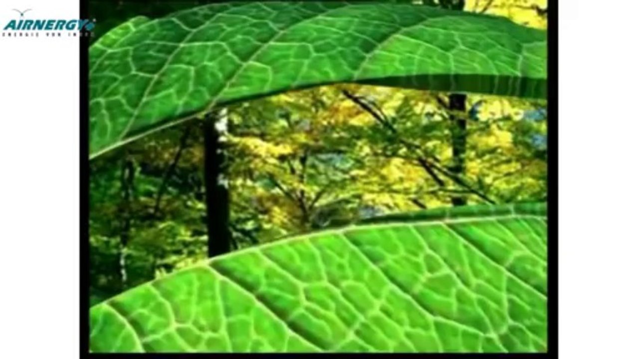 Schlafstörungen Burnout Airnergy Bluthochdrock