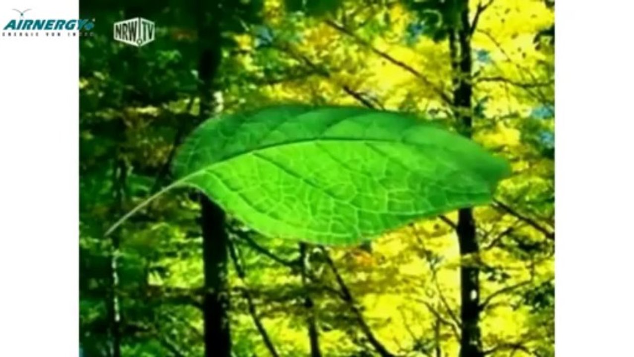 Schlafstörungen Burnout Airnergy Bluthochdrock