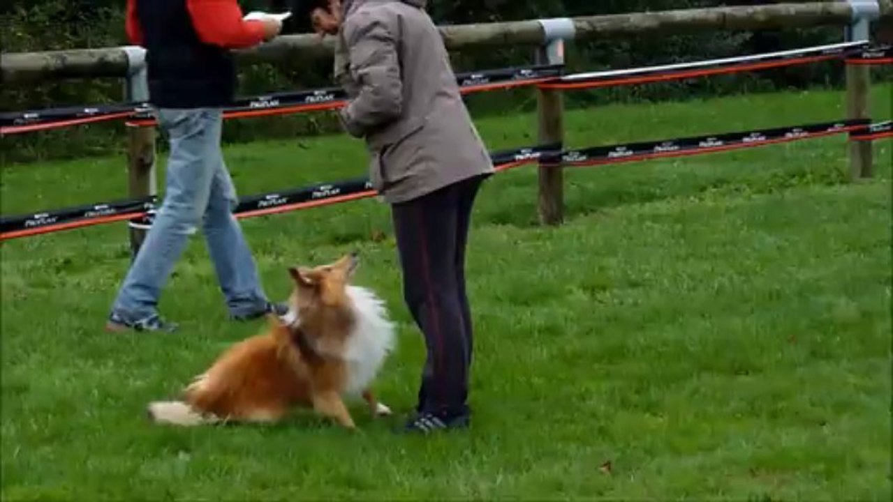 brevet d'obéissance Bonnie