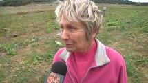 Golf de St-Hilaire : les opposants au projet récoltent les courges plantées sur le site agricole