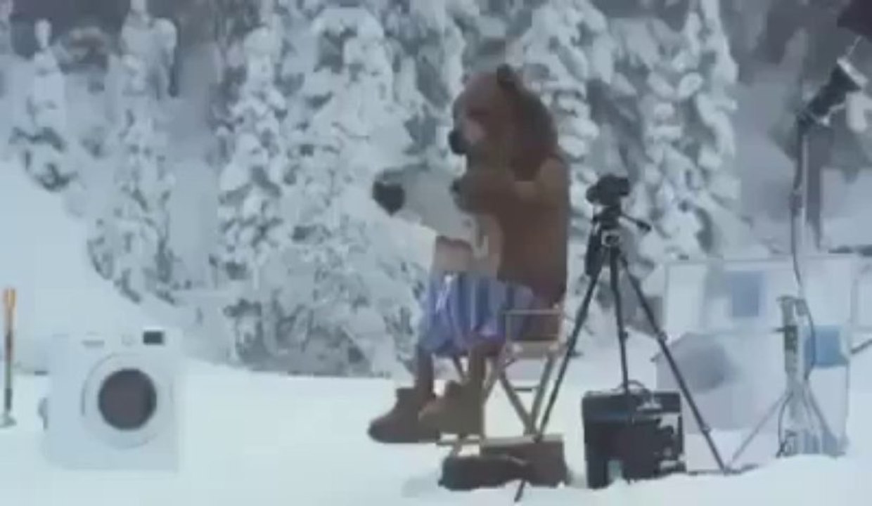 Oso irrumpe en grabación de comercial