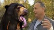 Canadian man Gilles Cyr survives bear attack by grabbing tongue