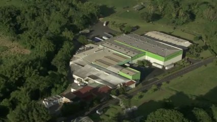 Ville du Morne-Rouge : Société "Colibri Chips"