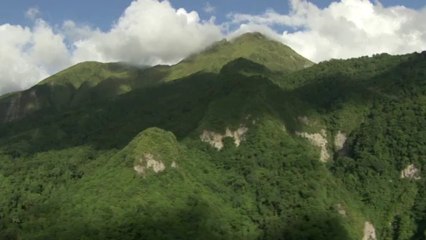Commune du Prêcheur : Pitons avec en fond la montagne Pelée