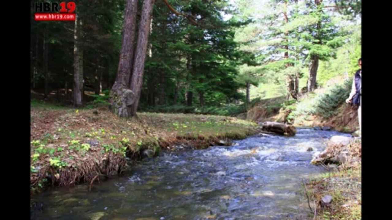 Kurban Bayramı İskilip 2013