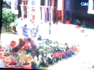 GMA - GENESIS - Pilot Episode [14-OCT 2013, Part 01]