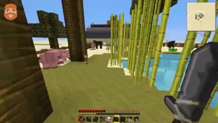 OASIS SURVIVAL | Minecraft | Ep.17, w/Dumb and Dumber