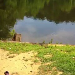 Jayce swinging into the pond