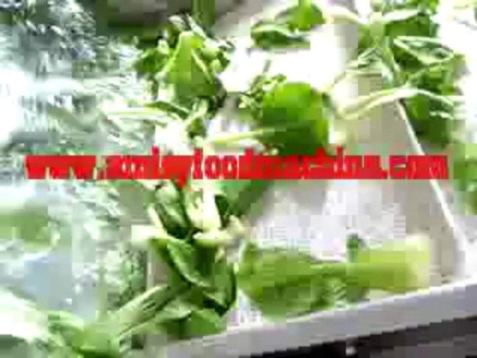 vegetable-bubble-washing-machine