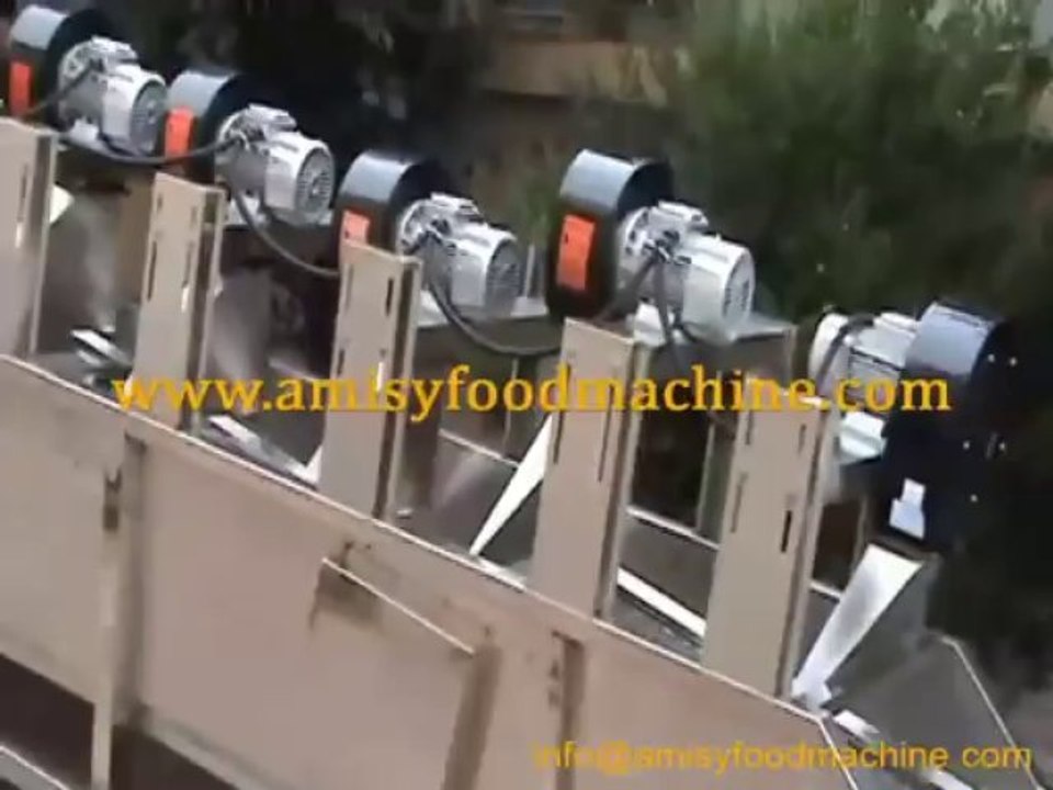 Video of potato chips line