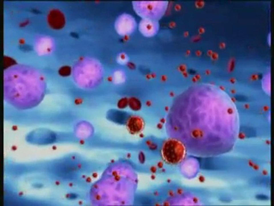 HIV REPLICATION
