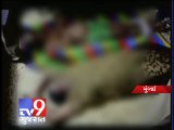 Triple Murder shocks Mumbai - Tv9 Gujarat