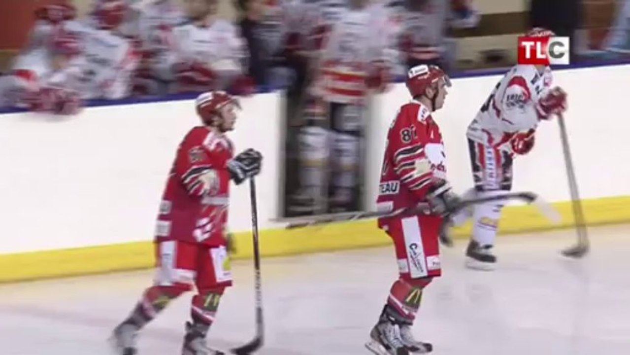 Hockey-sur-glace - Dogs vs Lions