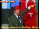 Türklerin Nüfus Bereketi, Üstad Kadir Mısıroğlu