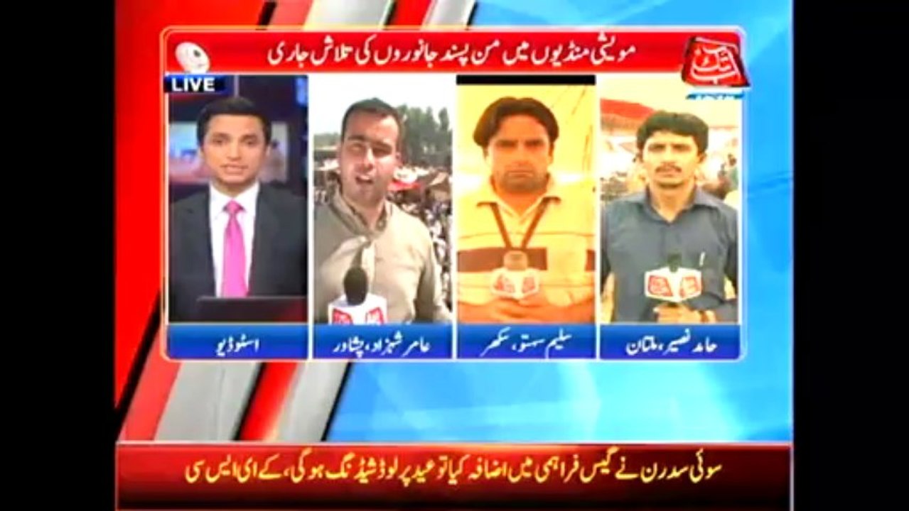 Peshawar cattle market